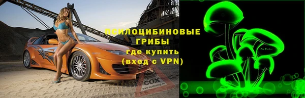винт Алзамай