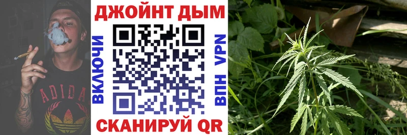 OMG ONION  Дмитровск  МАРИХУАНА индика 